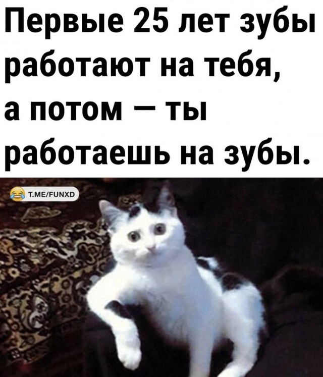 К котовторнику: подборка картинок-баянов с котиками и про котиков. Выпуск 27.