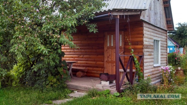 Просто "вкусная" пятница