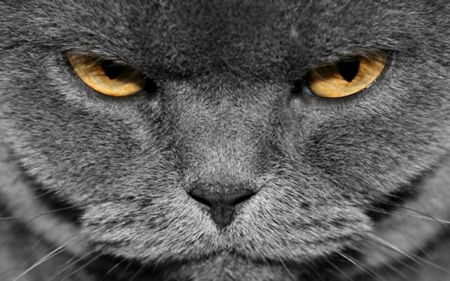 22 забавных и жизненных цитаты от автомеханика⁠⁠