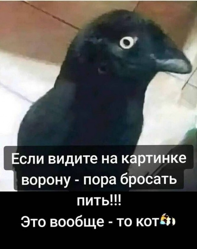 Пятничные картинки