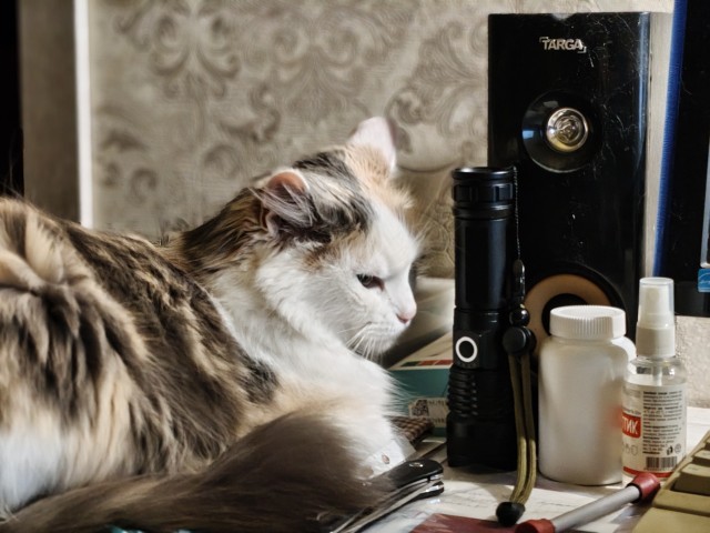 Котямбосы