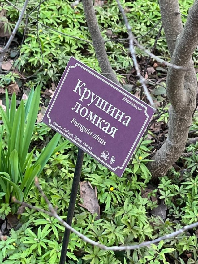 Кто ты сегодня?
