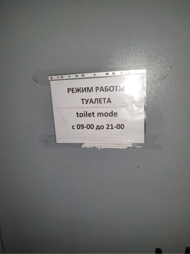 Субботние картинки
