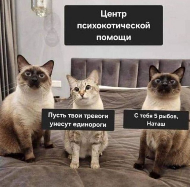 Картинки для настроения