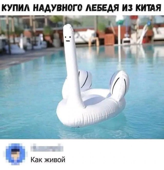 Забавные картинки, шутки из этих ваших интернетов