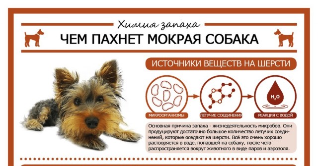 Почему полотенца плохо пахнут?