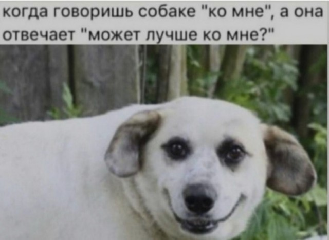 Скиньте рандомную хрень