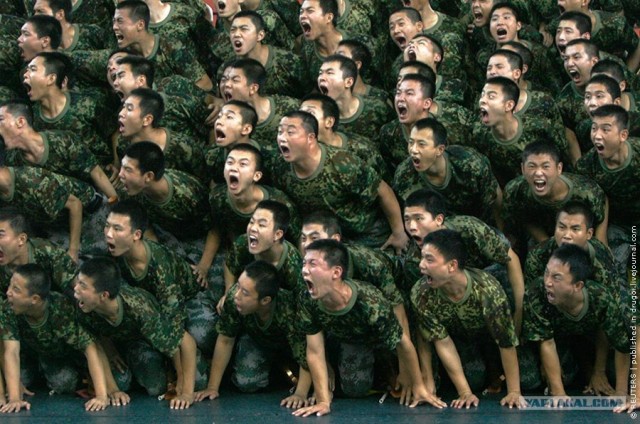 Жрааать! Дайте жрааать!