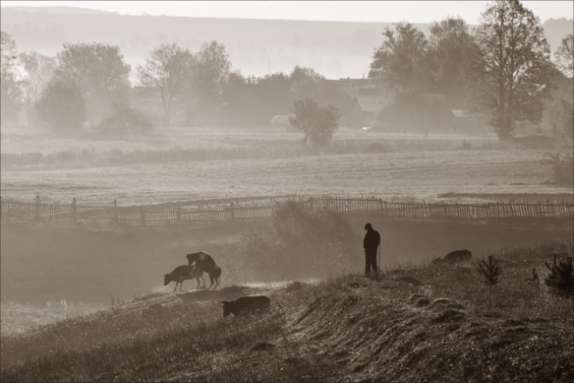 Победители AdMe Photo Awards 2013