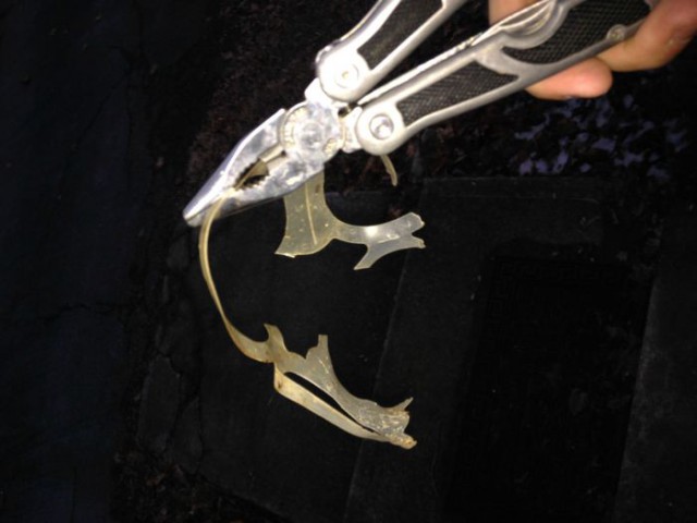 Опоссум попал в западню