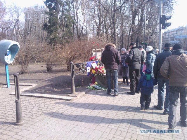 Мариинский парк и ул. Грушевского 26.02.14