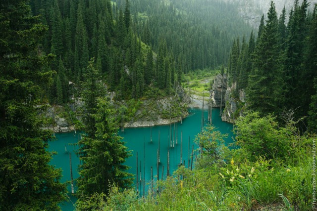 Озеро Каинды - Утонувший лес