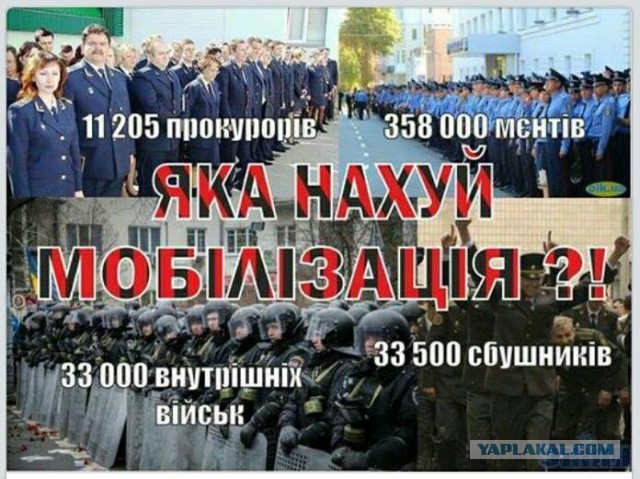 Украинская армия начала контрнаступление