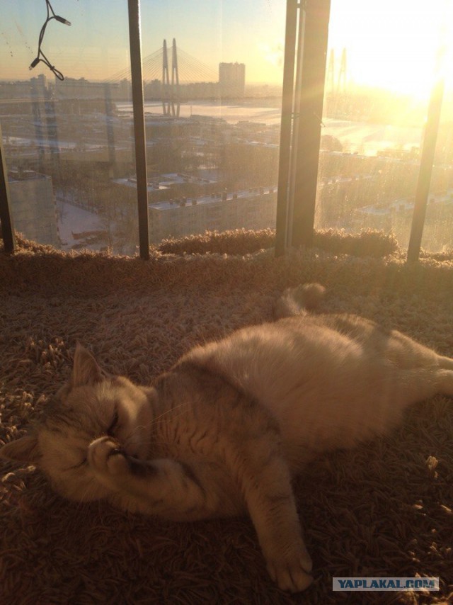 Солнечный день в Санкт-Петербурге