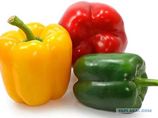 Как выглядят 19 популярных продукта