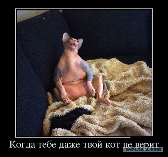 Картинки из сети к пятнице