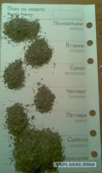 План на неделю