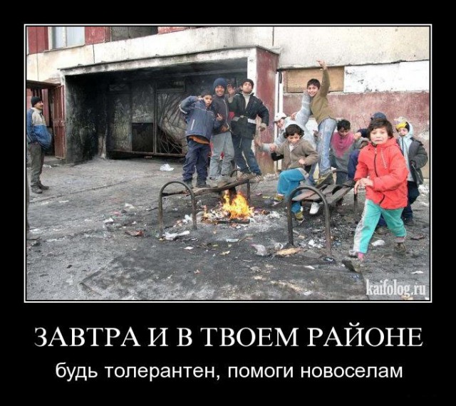Разрулил драку между ингушами