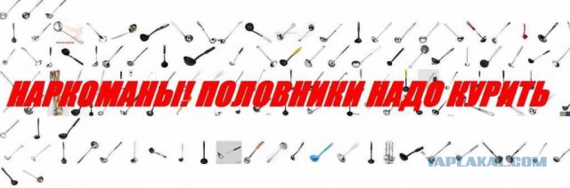 Уровень образования и интеллект