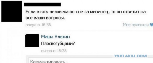 Смешные комментарии из социальных сетей