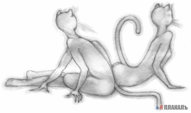 Кошки и Собаки - большая подборка