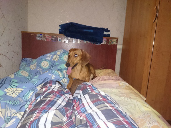 Замёрзший