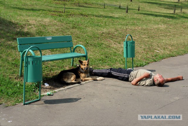 Скамейки Убийцы!