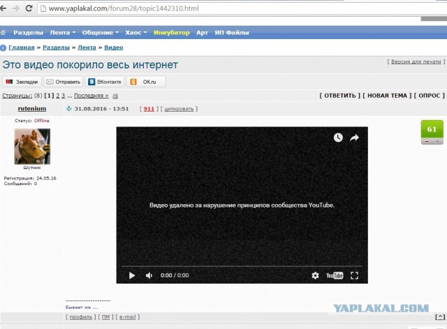 Это видео покорило весь интернет