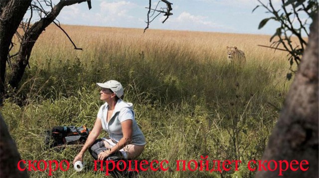 Фото из конкурса на самую смешную фотографию дикой природы