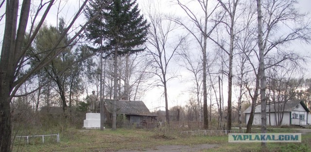Еду искать Дальневосточный гектар.