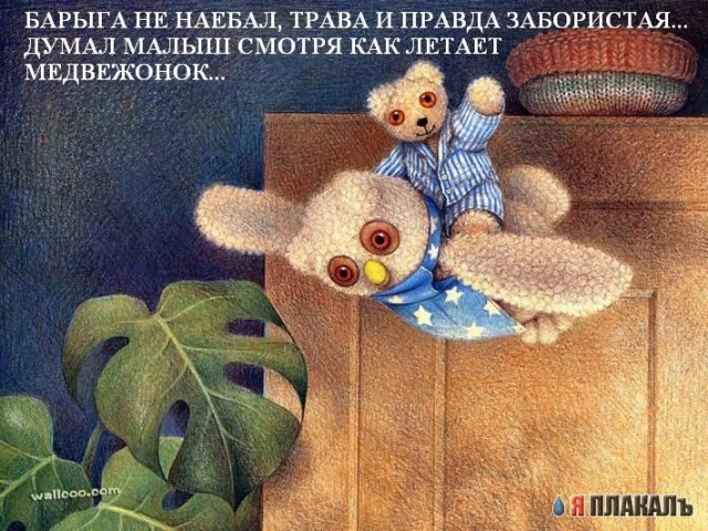 Мишка и его друзья