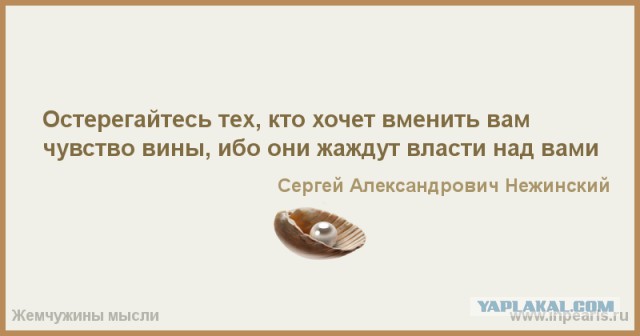 Никто не виновен. Совсем никто. Абсолютно ни в чём.