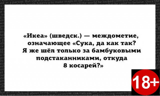 Забавные комментарии, шутки и фразы из этих ваших интернетов