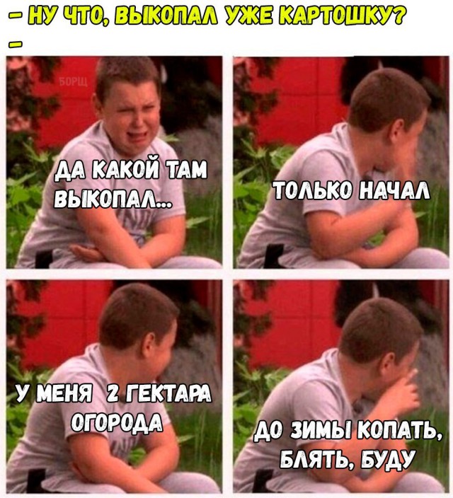 Подборка разного из сети