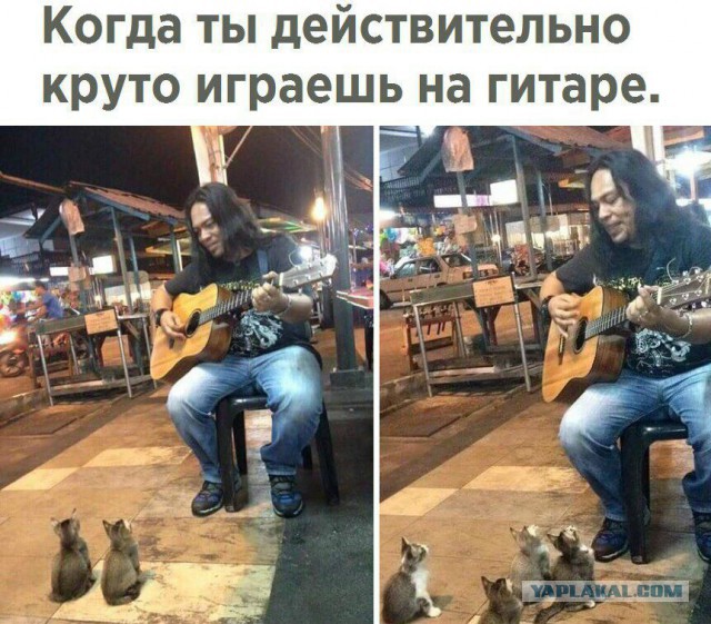 144 картинки для поднятия настроения!
