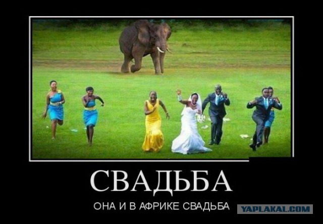 Чутка Демотиваторов на ПН