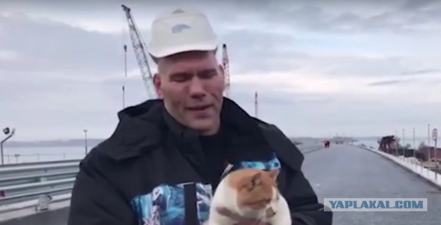 Валуев и кот Мостик