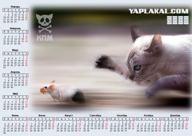 ЯП-календарь