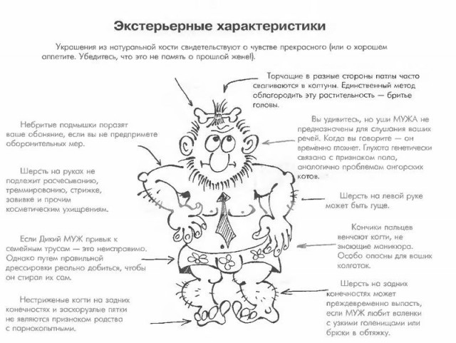 Ваш муж - руководство по уходу! (33 фото)