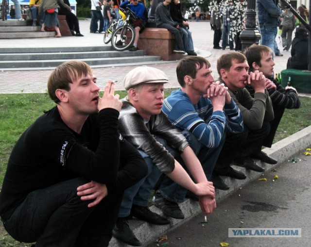 «Молодая гвардия» создаст отряды для борьбы с оппозицией на улицах