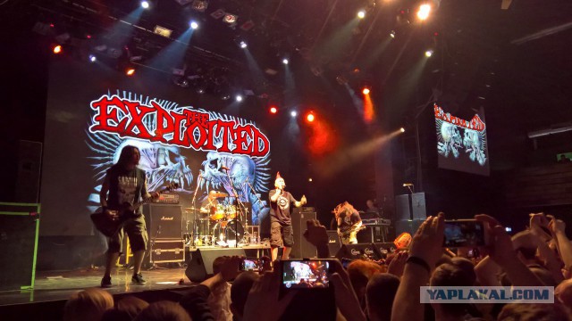 Punk’s Not Dead