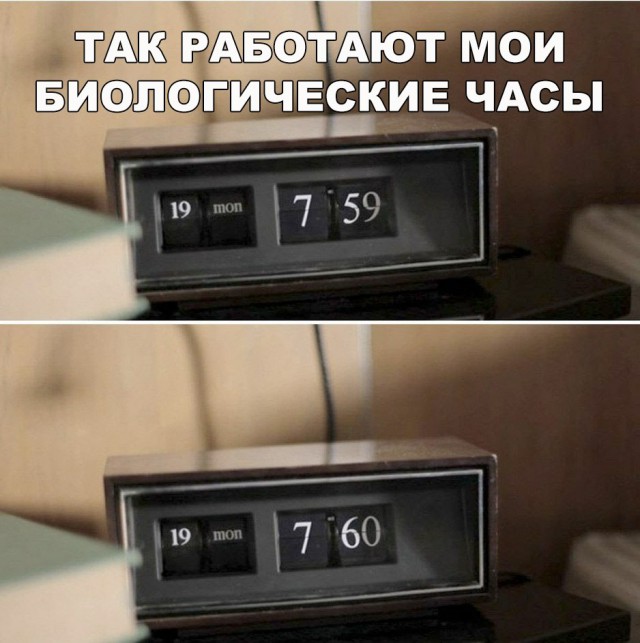 Нестандартный юмор