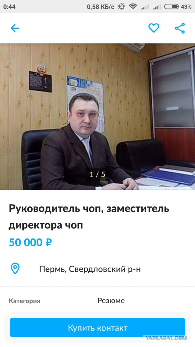 Пытался улететь в Испанию. В Москве задержан астраханский министр