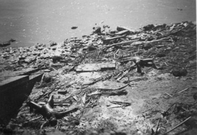 История в фотографиях