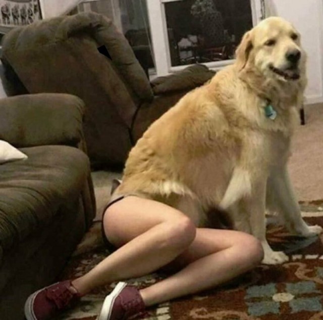Не самый лучший день