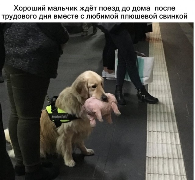 Нестандартный юмор