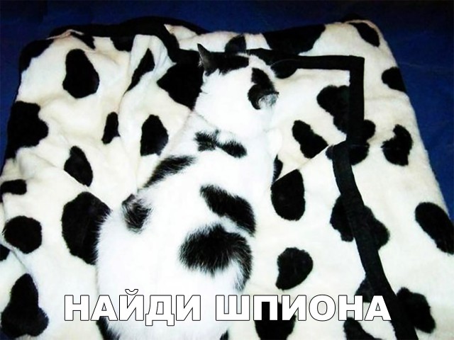 Немного милоты