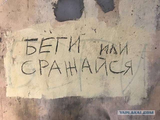 «Бродячие» философы: 17 глубокомысленных заметок в транспорте и на улицах