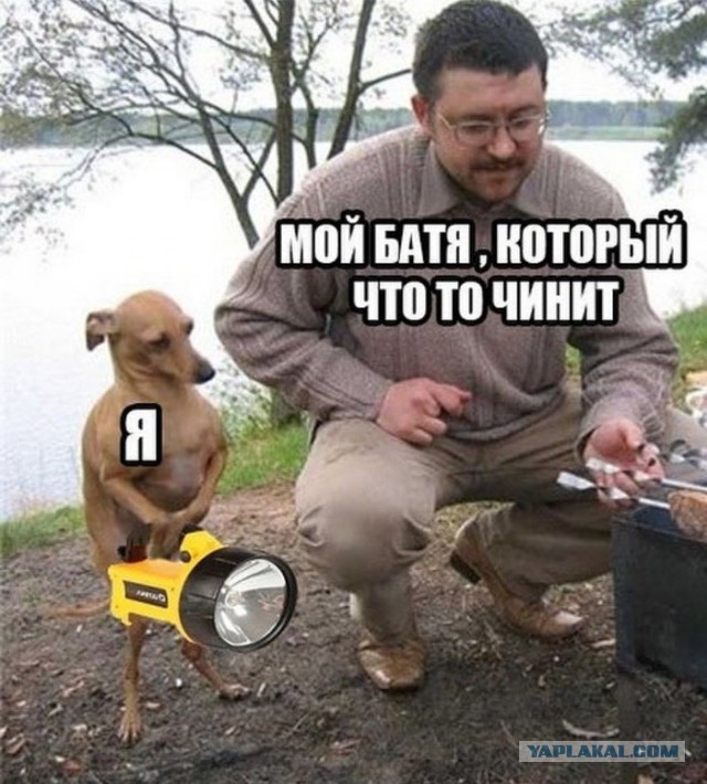 Анекдоты, соц-сети и картинки с надписями