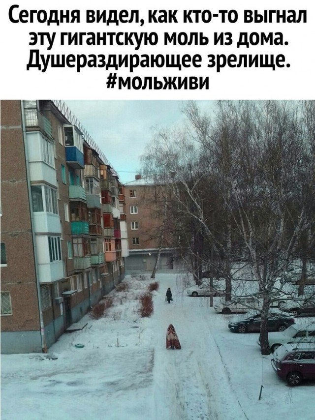 Улыбнись